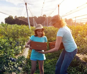 AdobeStock_366000439