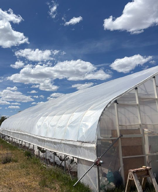 Brazos-Farms-Hoop-House_540x654-Ivy-Jean-Reynolds