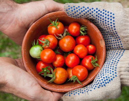 elaine-casap-qgHGDbbSNm8-unsplash