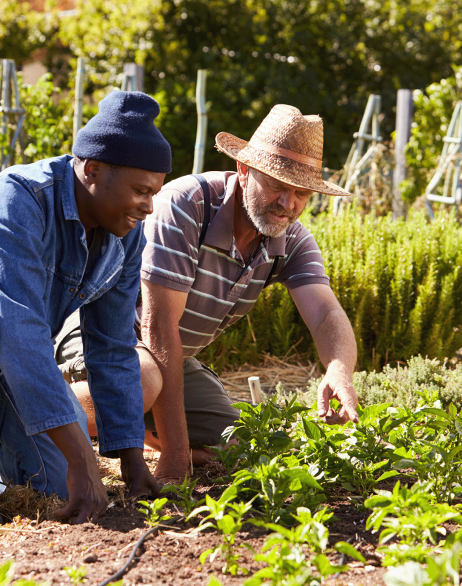 farmers