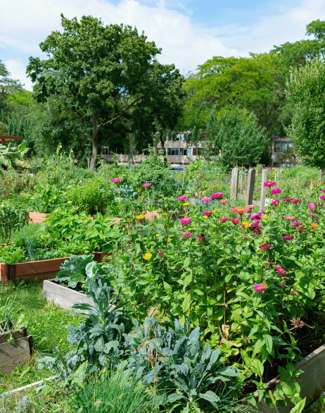 flower beds