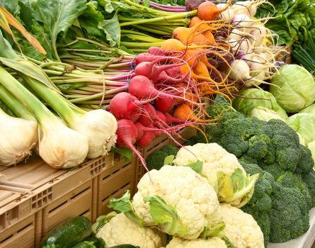 shelley-pauls-Zaiuy5dKeCk-unsplash